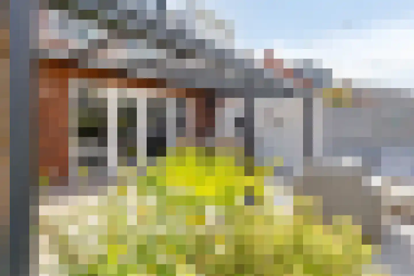 De Ketting 17 Doetinchem thumbnail 30