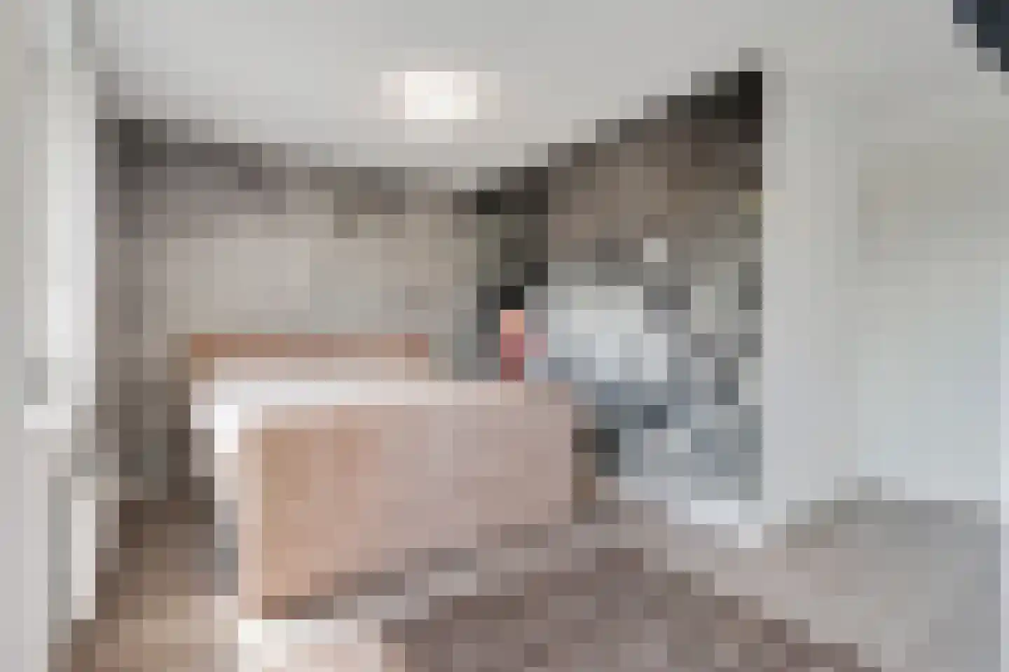 De Ketting 17 Doetinchem thumbnail 38