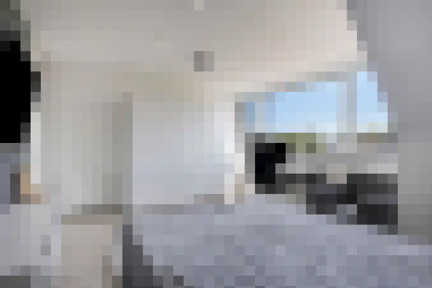 De Ketting 17 Doetinchem thumbnail 54