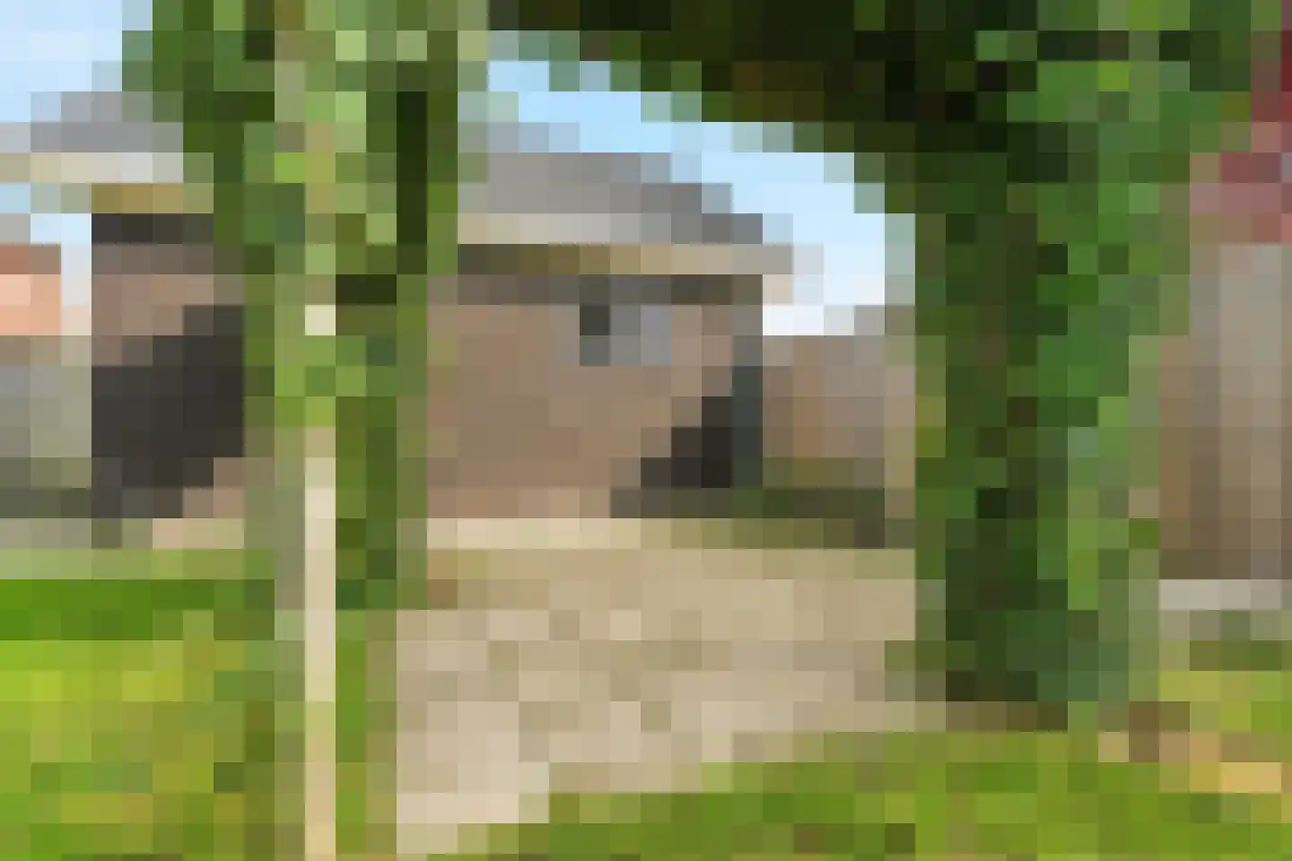 De Ketting 18 Doetinchem thumbnail 16