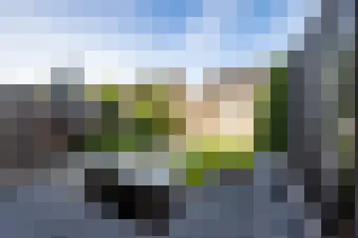 De Ketting 196 Doetinchem thumbnail 13