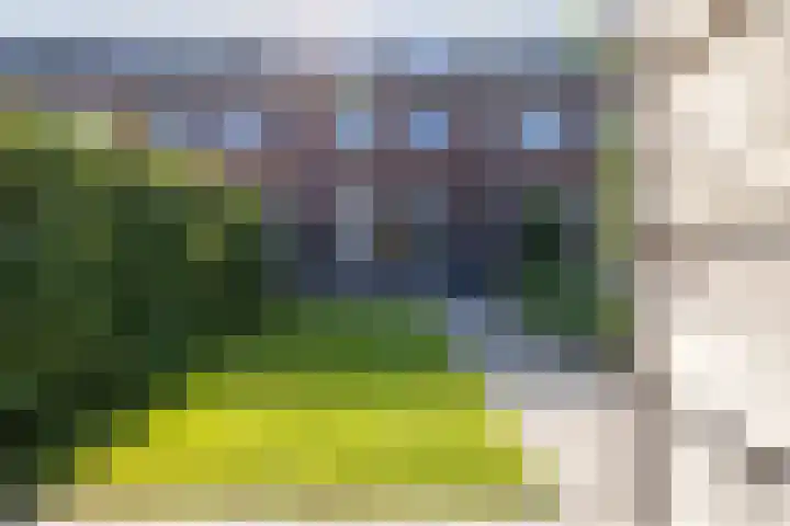 De Ketting 196 Doetinchem thumbnail 17