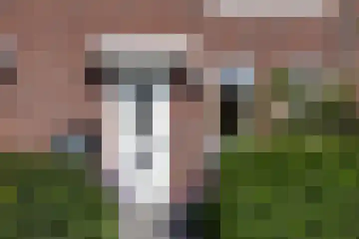 De Ketting 196 Doetinchem thumbnail 20