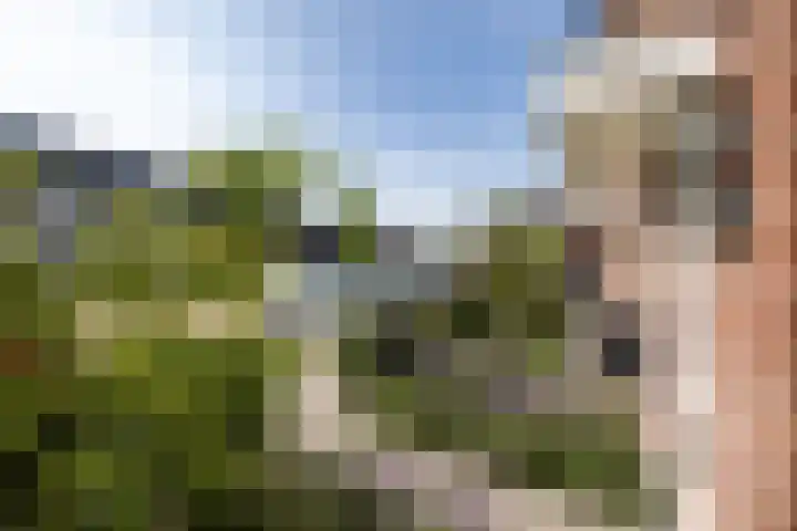 De Ketting 196 Doetinchem thumbnail 36