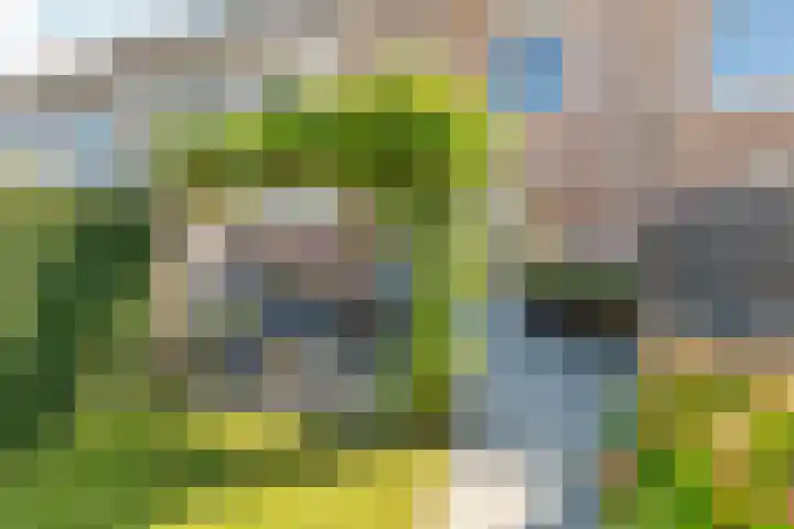De Ketting 21 Doetinchem thumbnail 16