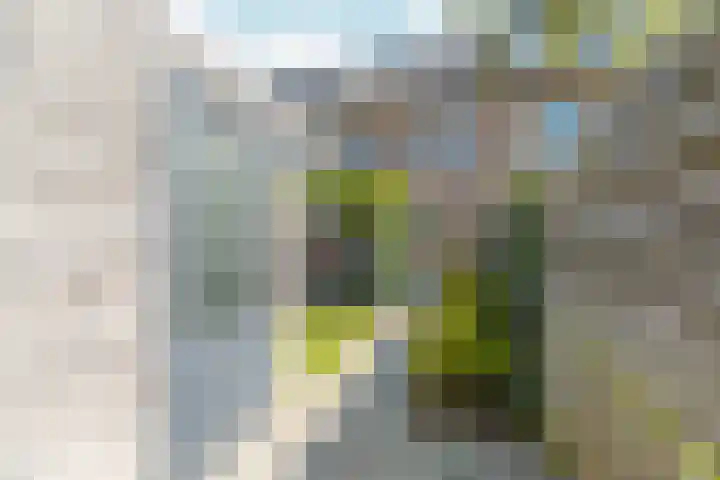 De Ketting 21 Doetinchem thumbnail 17