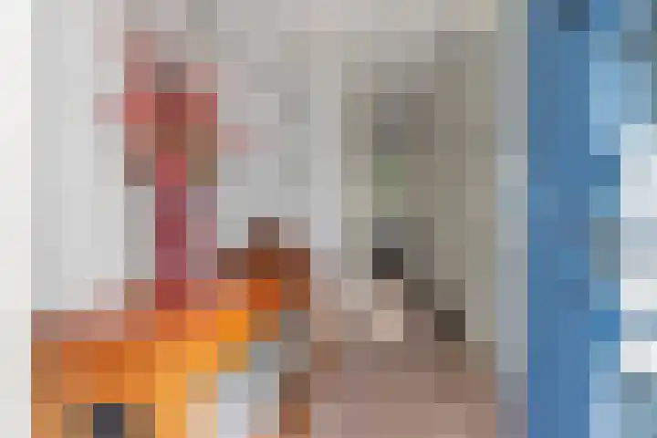 De Ketting 21 Doetinchem thumbnail 20