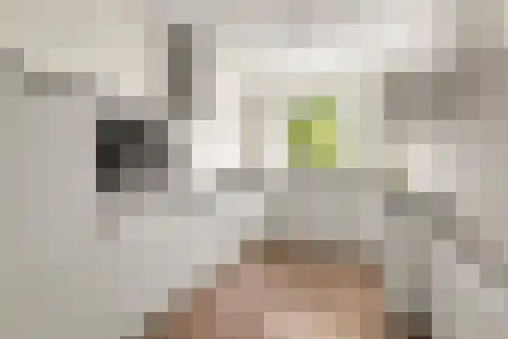 De Ketting 21 Doetinchem thumbnail 9
