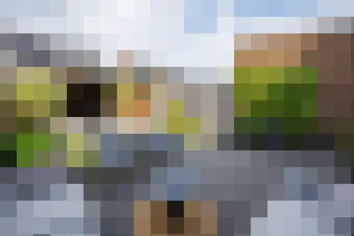 De Ketting 214 Doetinchem thumbnail 12