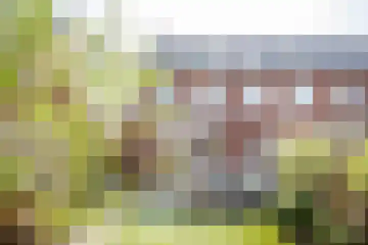 De Ketting 214 Doetinchem thumbnail 15