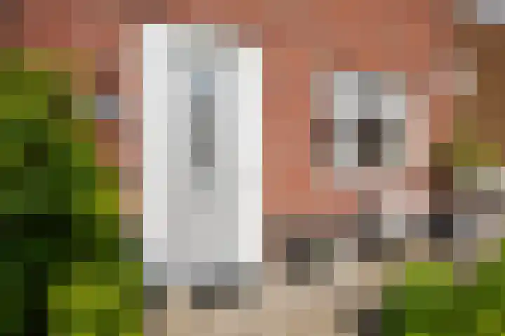 De Ketting 214 Doetinchem thumbnail 17