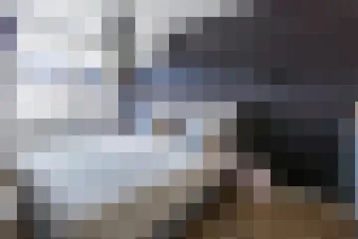 De Ketting 214 Doetinchem thumbnail 21