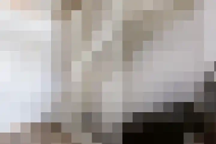De Ketting 214 Doetinchem thumbnail 30