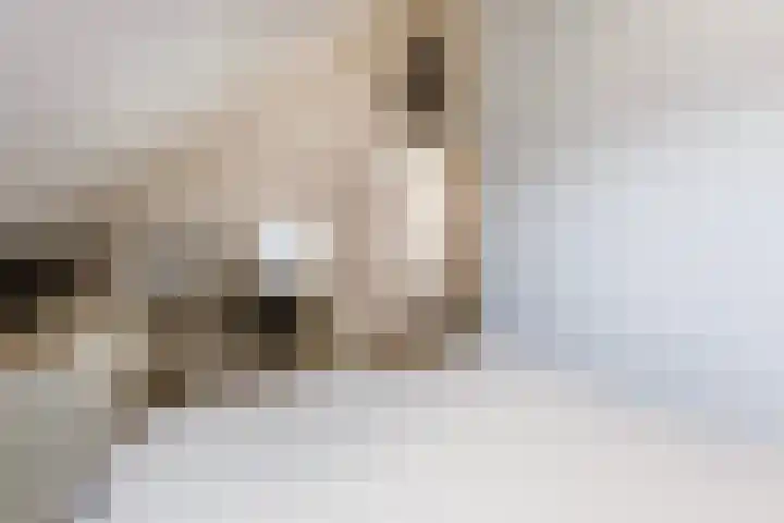 De Ketting 214 Doetinchem thumbnail 32