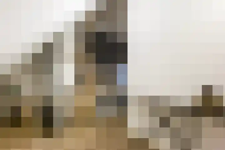 De Ketting 214 Doetinchem thumbnail 34