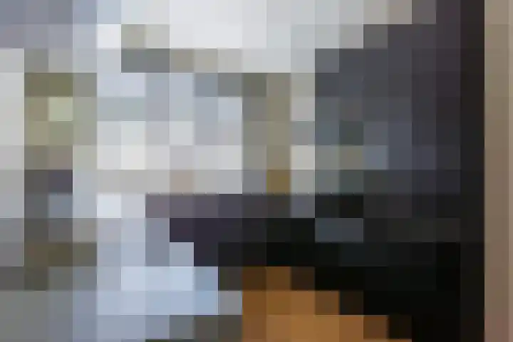 De Ketting 214 Doetinchem thumbnail 8