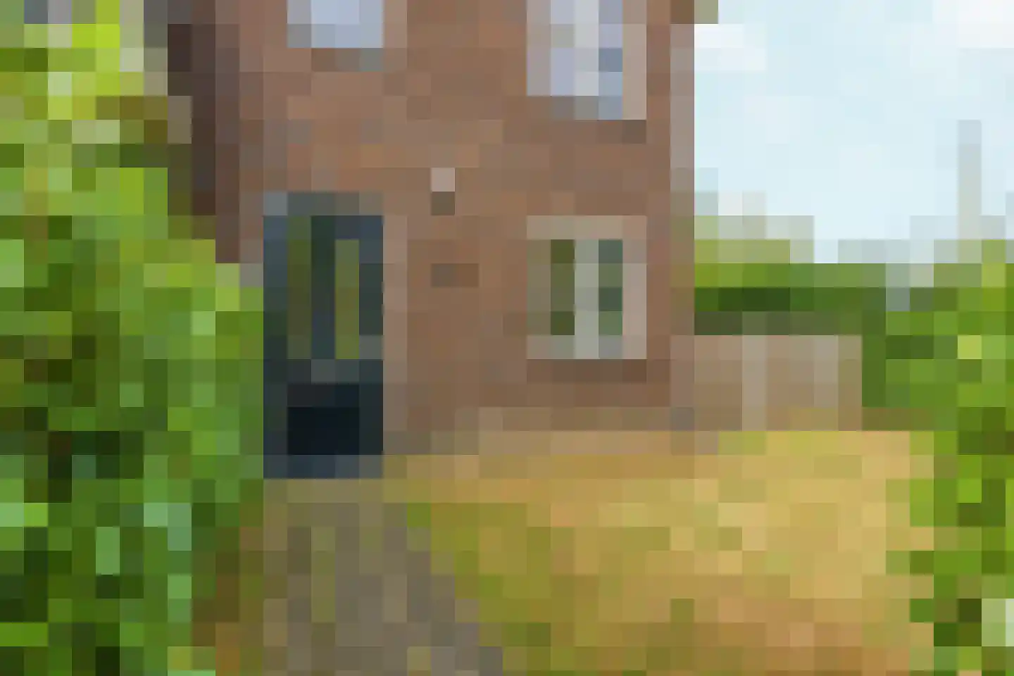 De Ketting 42 Doetinchem thumbnail 19