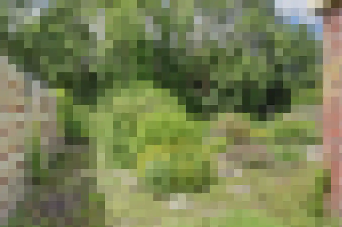 De Keulen 5 Hoogkarspel thumbnail 21