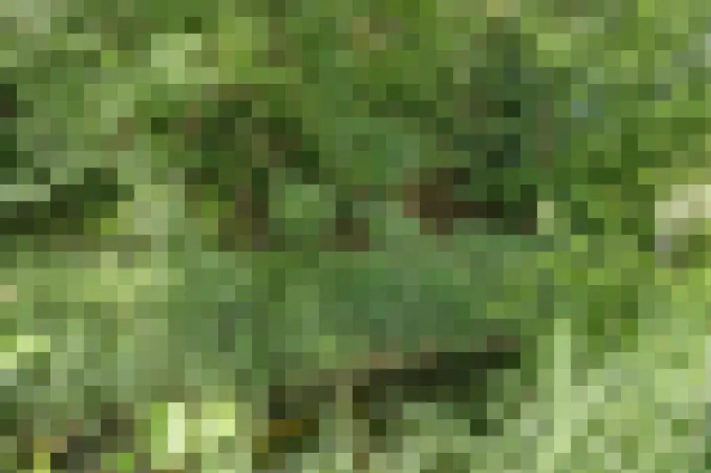 De Keulen 5 Hoogkarspel thumbnail 39