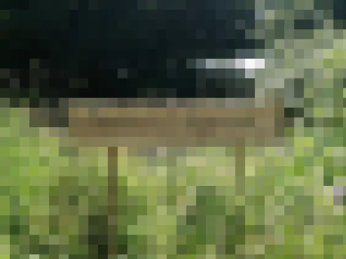 De Keulen 5 Hoogkarspel thumbnail 40