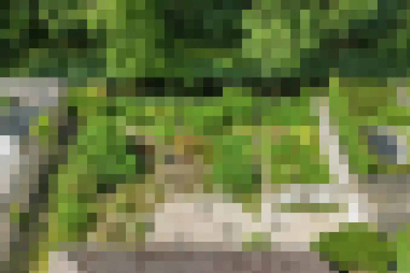 De Keulen 5 Hoogkarspel thumbnail 5