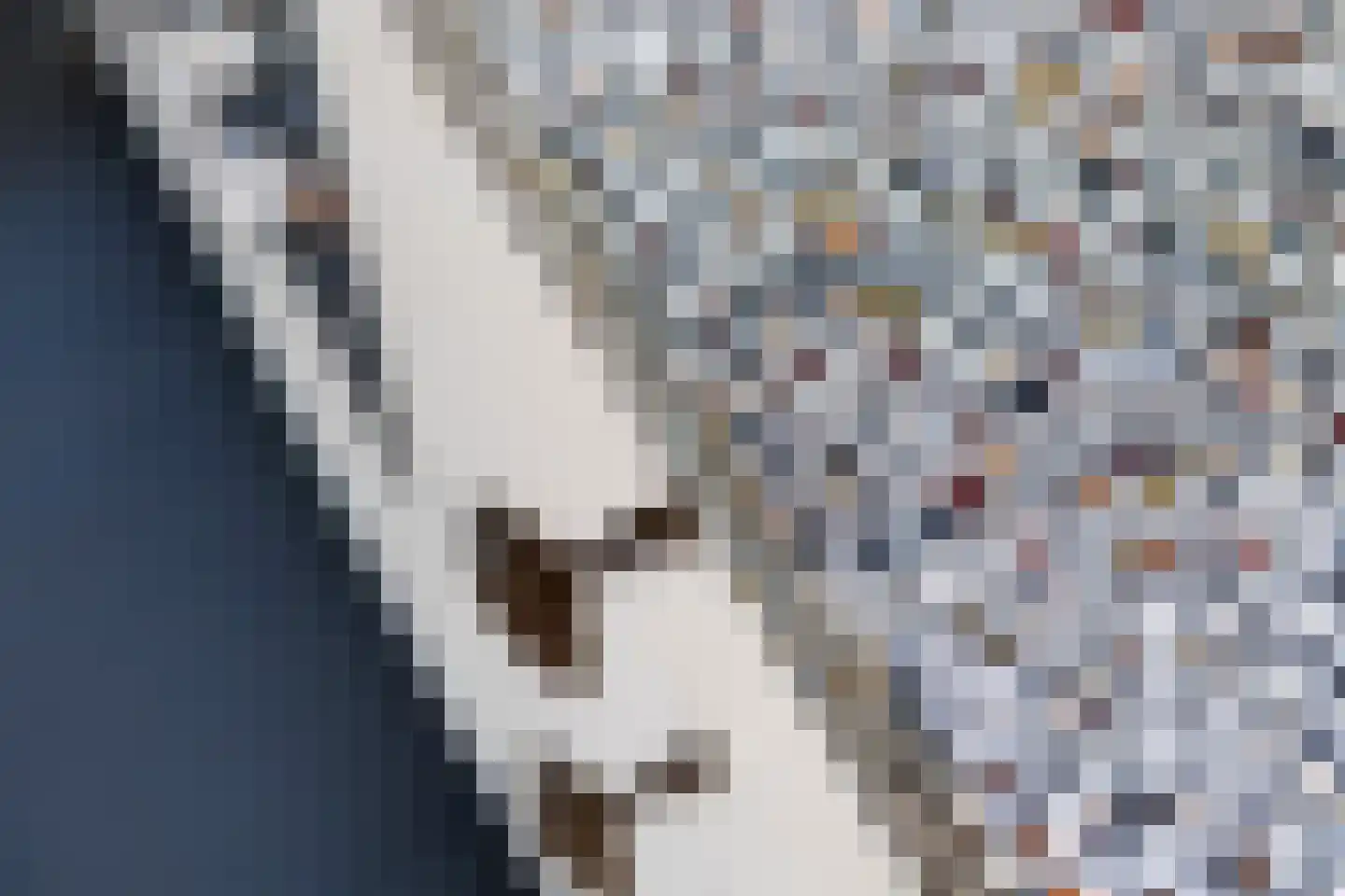 De Keuning 1 Beusichem thumbnail 32