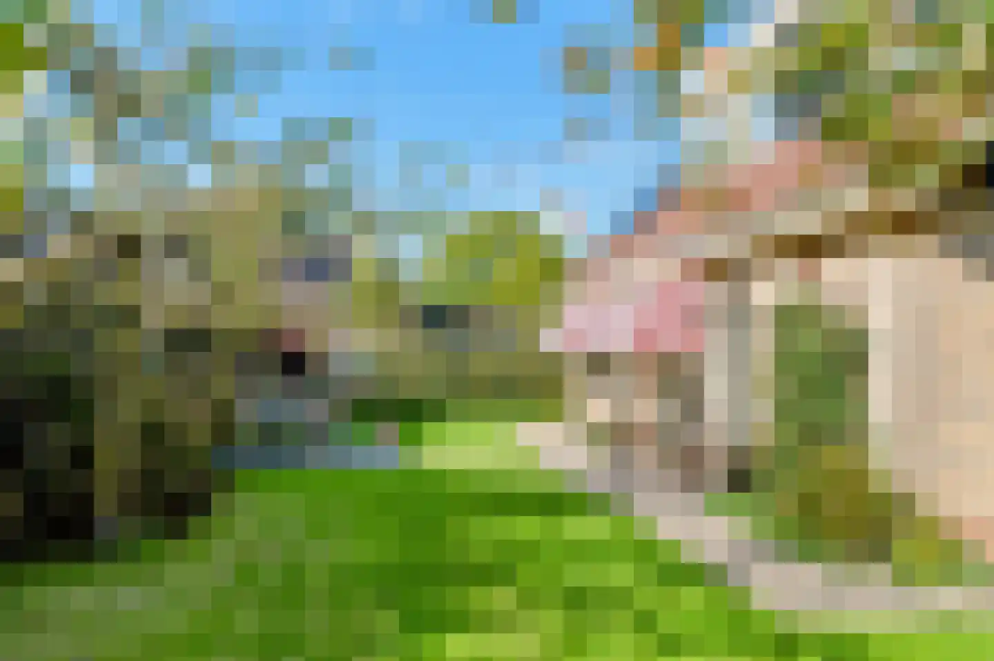 De Keuning 1 Beusichem thumbnail 35