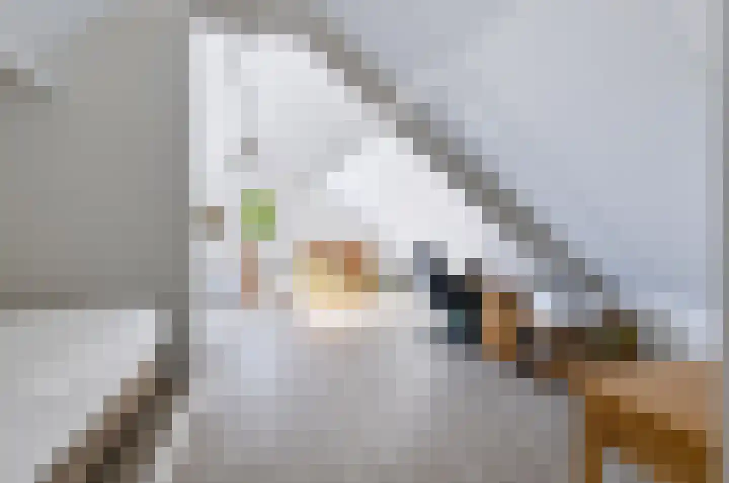 De Keuning 1 Beusichem thumbnail 71