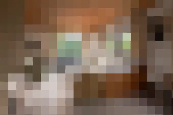 De Keuning 2 Beusichem thumbnail 10
