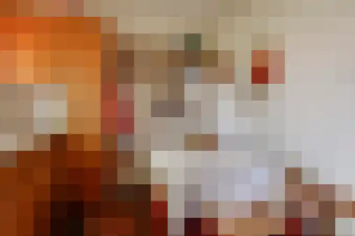 De Keuning 2 Beusichem thumbnail 13