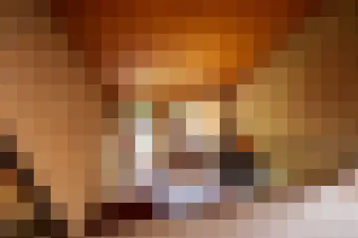 De Keuning 2 Beusichem thumbnail 18