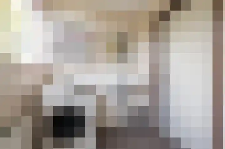 De Keuning 2 Beusichem thumbnail 21