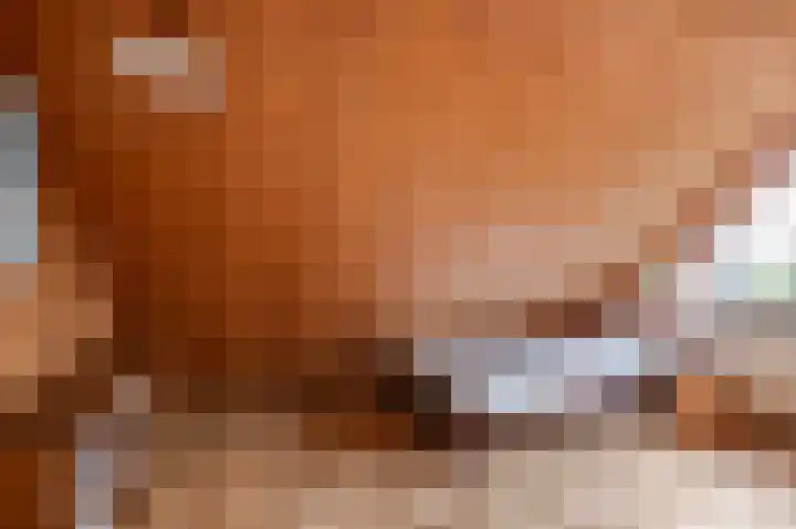 De Keuning 2 Beusichem thumbnail 25