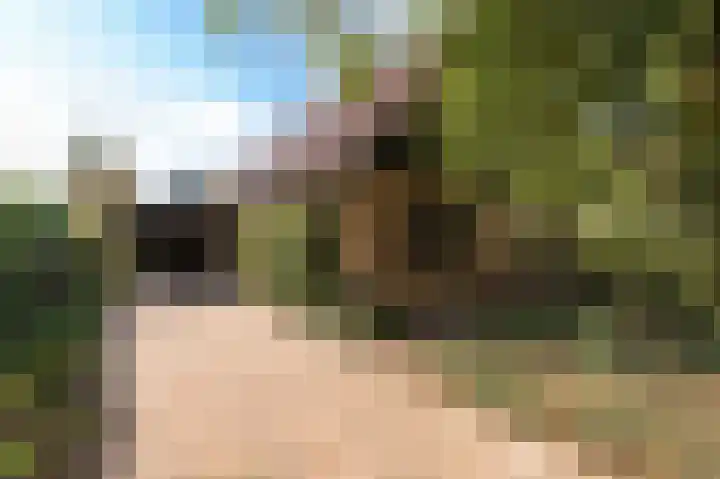 De Keuning 2 Beusichem thumbnail 30