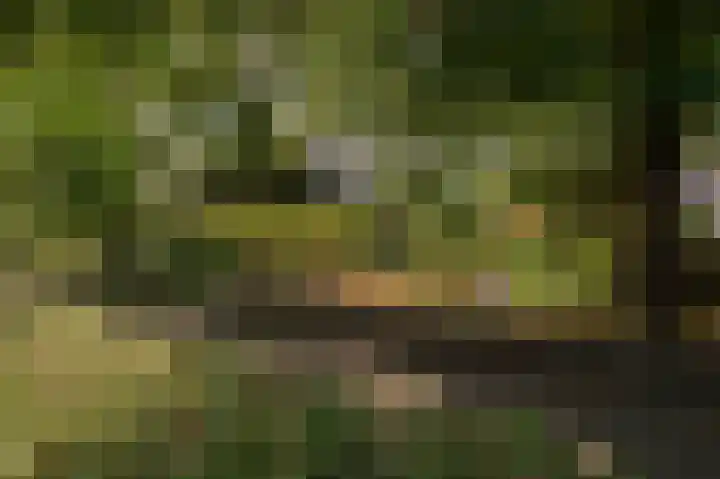 De Keuning 2 Beusichem thumbnail 32