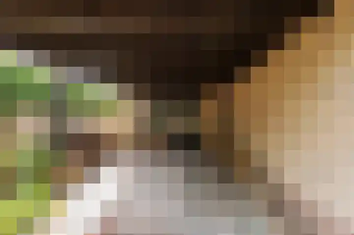De Keuning 2 Beusichem thumbnail 33