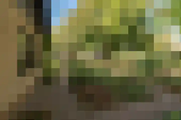 De Keuning 2 Beusichem thumbnail 34