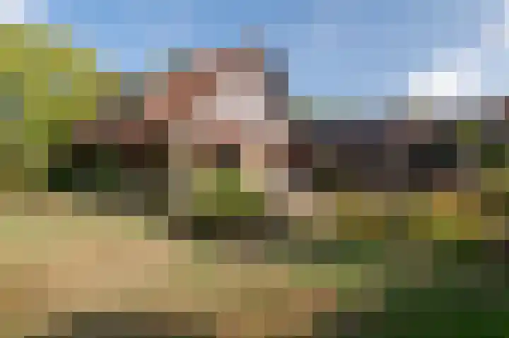 De Keuning 2 Beusichem thumbnail 35