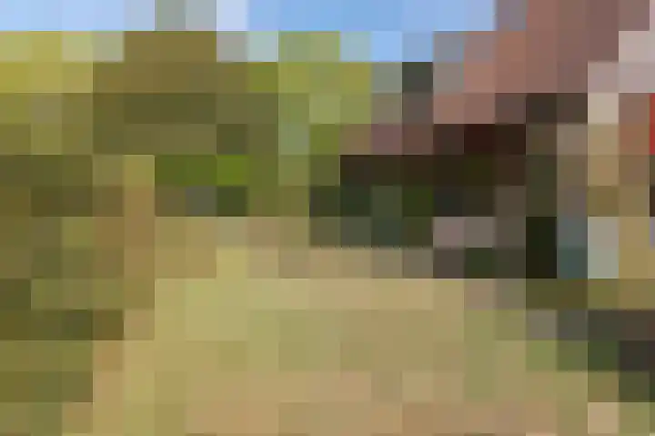De Keuning 2 Beusichem thumbnail 36