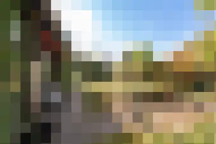 De Keuning 2 Beusichem thumbnail 37