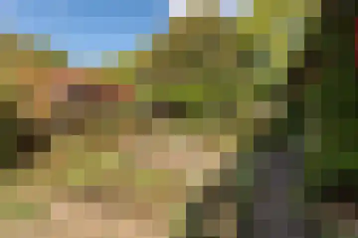 De Keuning 2 Beusichem thumbnail 38