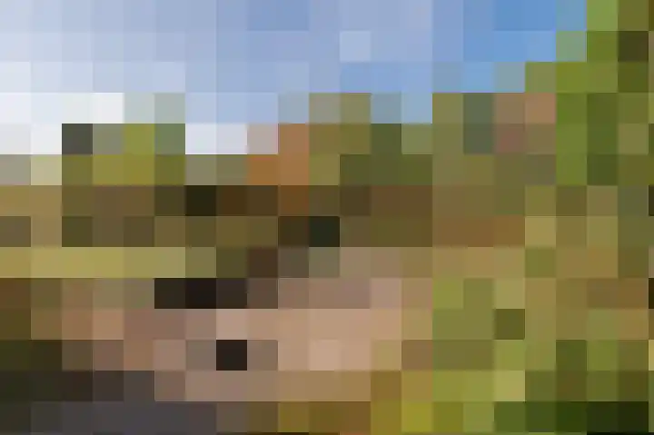 De Keuning 2 Beusichem thumbnail 39