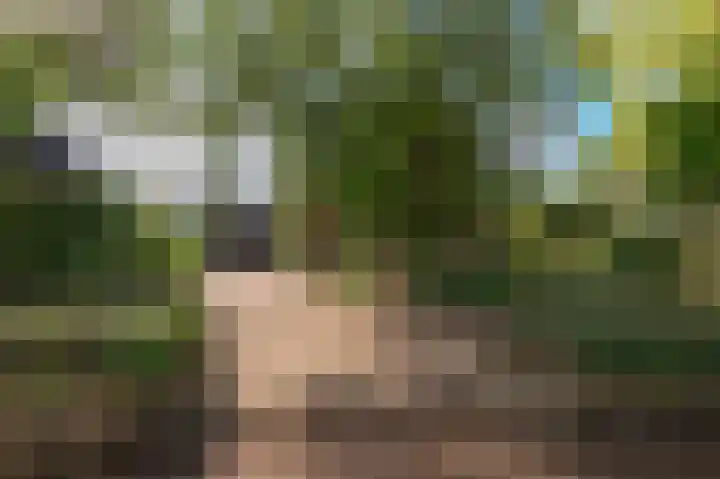 De Keuning 2 Beusichem thumbnail 4
