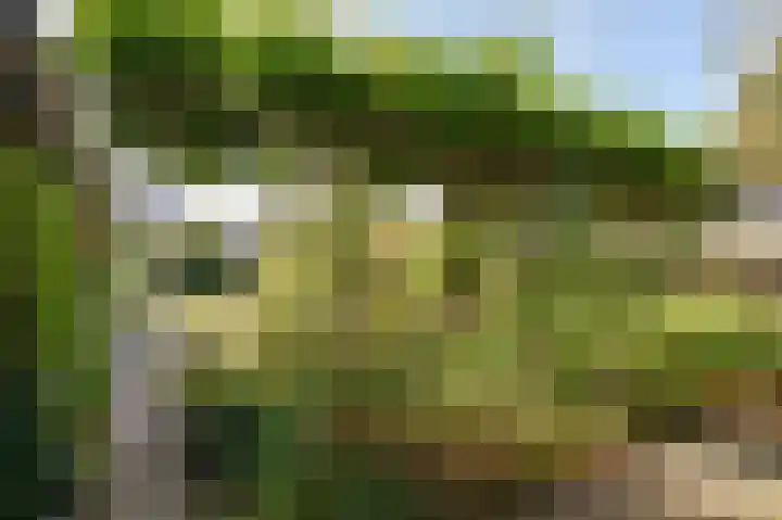 De Keuning 2 Beusichem thumbnail 40