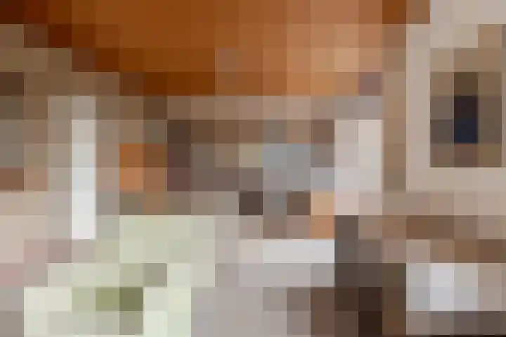 De Keuning 2 Beusichem thumbnail 8