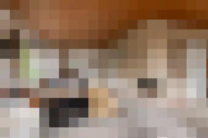 De Keuning 2 Beusichem thumbnail 9