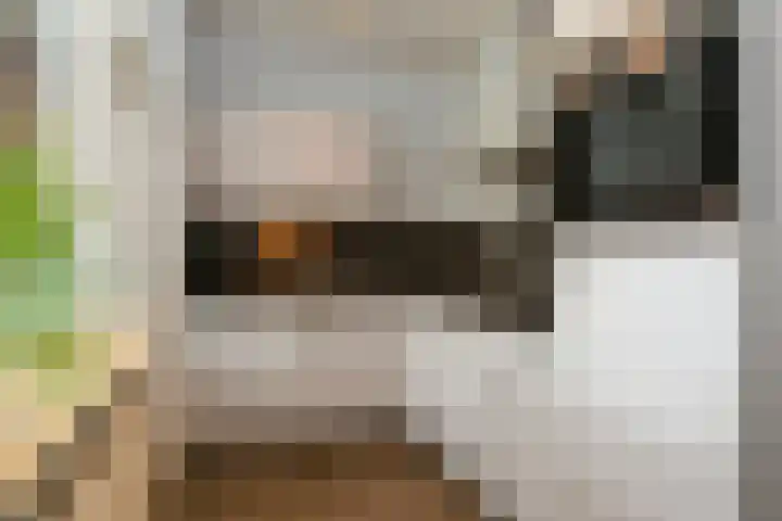de Keverbergstraat 34 Haelen thumbnail 10