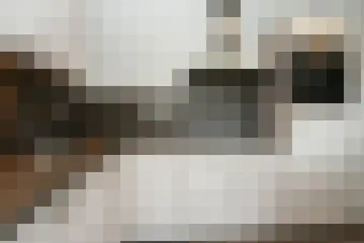 de Keverbergstraat 34 Haelen thumbnail 11