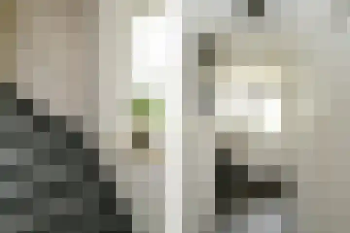 de Keverbergstraat 34 Haelen thumbnail 12
