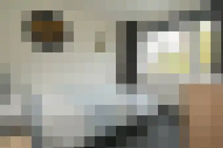 de Keverbergstraat 34 Haelen thumbnail 16